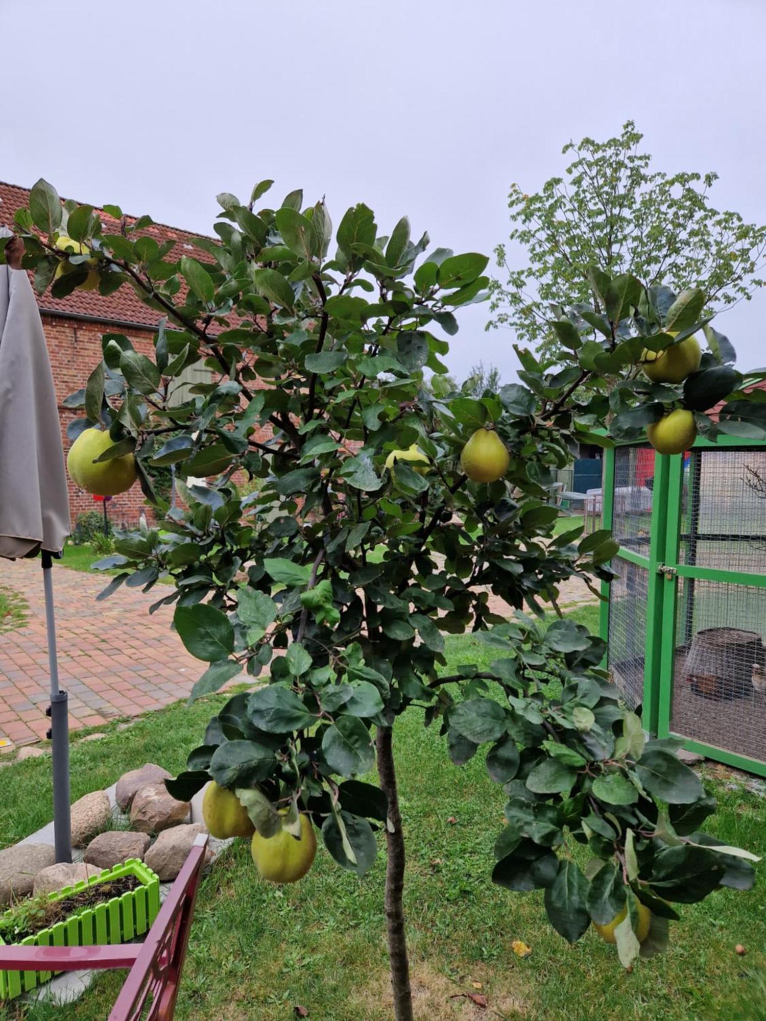 RambowMaerchenhaft Urlauben Auf Dem Alpakahof公寓 外观 照片